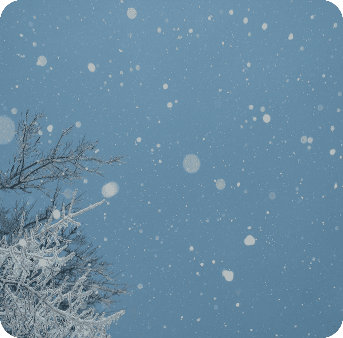 premium-technologies